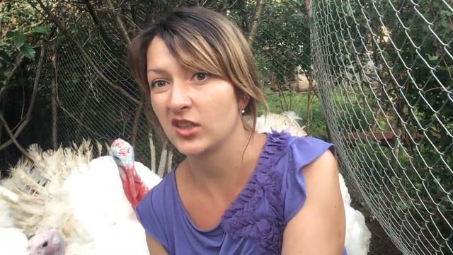 Содержание индюков биг6 совсем не сложно смотреть онлайн