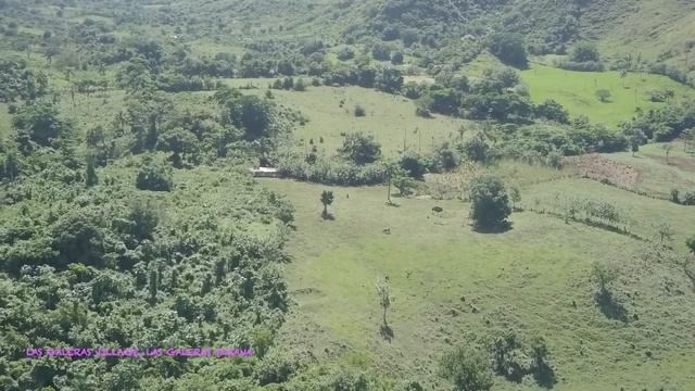 Las Galeras Village смотреть онлайн
