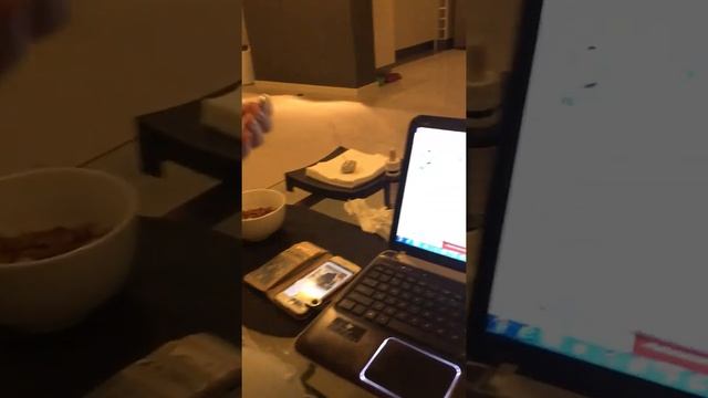 Jbl Tune 205 volume test смотреть онлайн