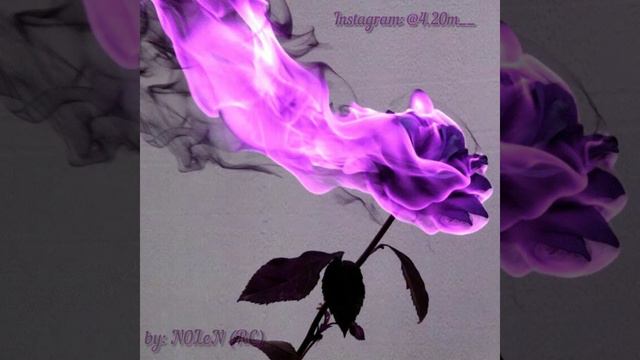 Kagramanov - Gringo ( N0LEN07 Dance Remix)