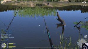 Русская Рыбалка 4(Карп на озере Комарином)