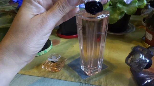 духи ланком - трезор - знакомимся