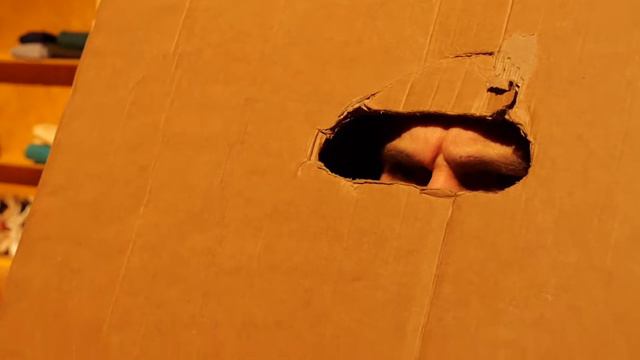 "Кашонът" ТЕАТЪР СОФИЯ смотреть онлайн