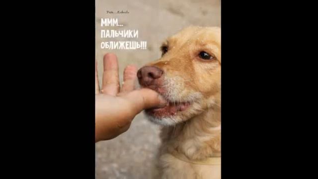 КОМОЧЕК СЧАСТЬЯ!!! ))) смотреть онлайн