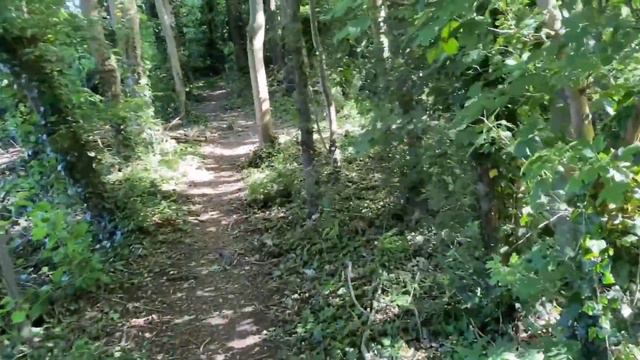 SOMEONE CHASED THEM WEARING A MASK… *Scary* смотреть онлайн