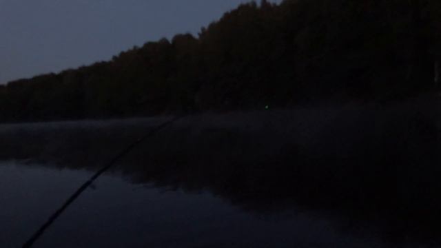 немножко половили карпика и мурку... смотреть онлайн