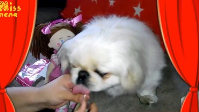 Винни Пух Дисней в гостях у Пепы и Дэки. Распаковка сюрприза) смотреть онлайн