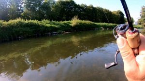 Как ловить Усача на Спиннинг. Без Системы нет Отдачи