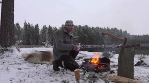 Охота в Норвегии на лосей с собаками. Охотничьи приключения в Норвегии (Охотник и рыболов)