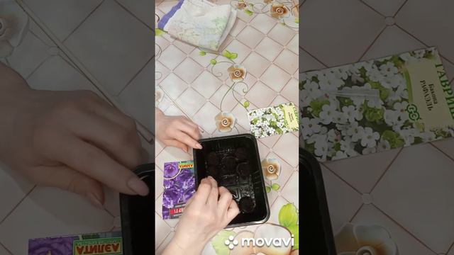 Говорят, #эустому, #бакопу нелегко вырастить. Проверяем смотреть онлайн