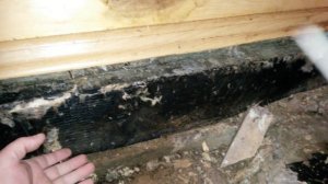 Сгнил пол в бане