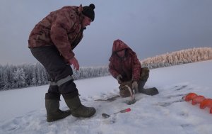 Живём с Батей в Тайге.На Озеро Приходили Волки.Ловим Рыбу на Самоловки!