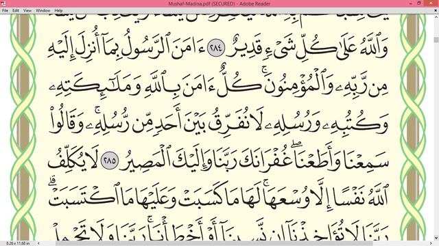 Шейх Айман Сувейд сура Бакара стр 49 смотреть онлайн