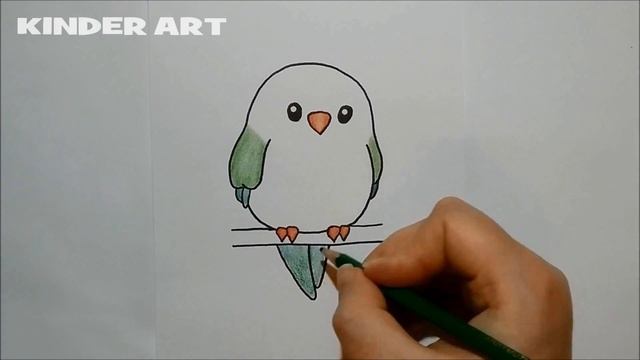 Как нарисовать попугая | How to draw a parrot смотреть онлайн