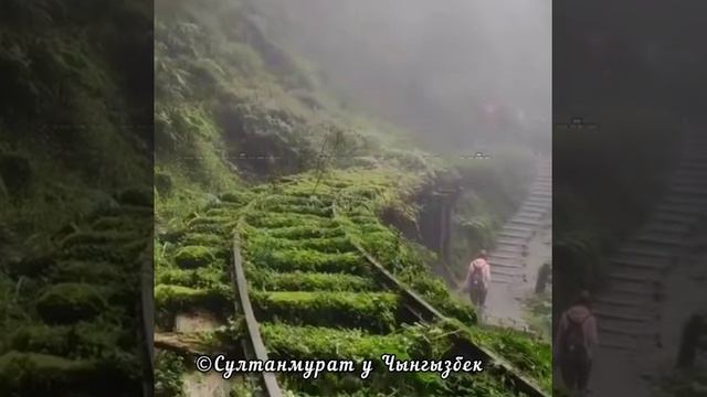 14 ЖАШАР КЫЗ ҮЧҮН ЧЫҢГЫЗБЕК КАРЫ ӨЗ ЧЫГАРМАЧЫЛЫГЫ смотреть онлайн