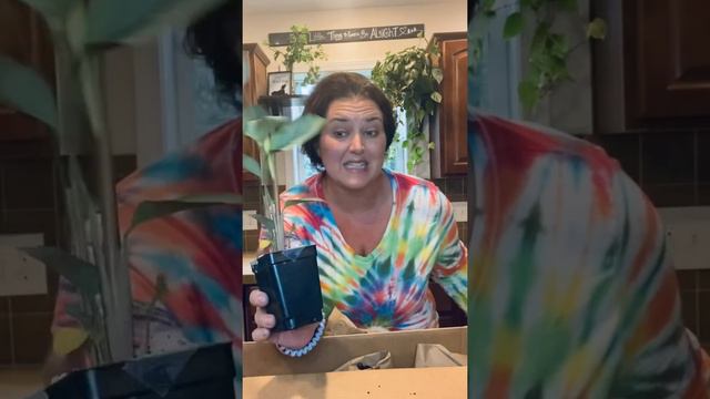 Buying more plants on FB unboxing