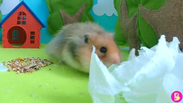 ОДИН в ЛЕСУ или ШКОЛА ВЫЖИВАНИЯ ОТ ХОМЯЧКА ЗЮМЫ смотреть онлайн