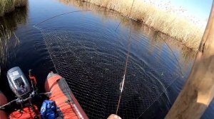 Рыбалка на паук с подводной камерой в болоте. Рыбалка на паук 2022. Рыбалка с лодки. Рыбалка 2022.