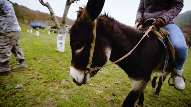 Тихая моя родина №32 NEW смотреть онлайн