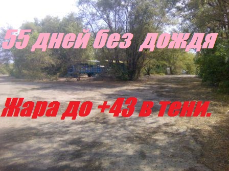 Пчелы на самовыживании.Не можешь изменить ситуацию,измени отношение к ней. смотреть онлайн