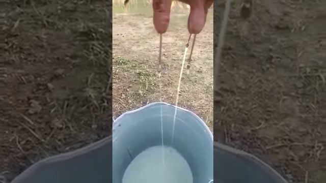 Тобоо,Адамдар эмнени кана ойлоп тапбайт смотреть онлайн