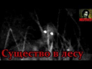 Истории на ночь - Существо в лесу