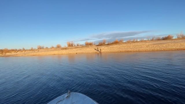 УНТЫ ИЗ ШКУРЫ ЛОСОСЯ смотреть онлайн