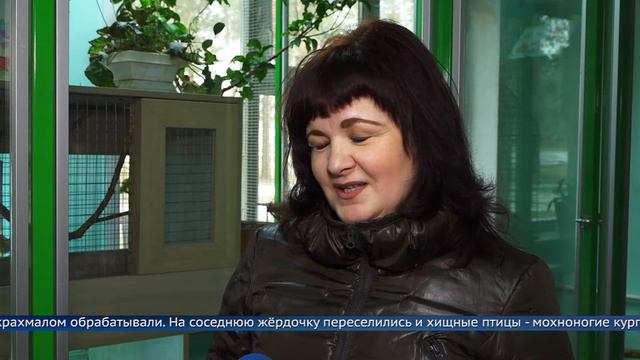 В зоопарке Ангарска пополнение смотреть онлайн
