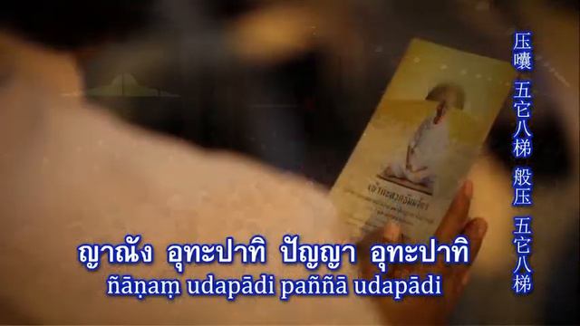 🌍 Live 🙏สวดธรรมจักรกัปปวัตนสูตร ✨ต่อเนื่อง 24 ชั่วโมง🌸 смотреть онлайн