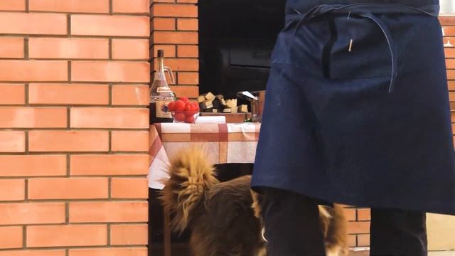 Танцы и Хореография