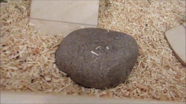 Cage Tour #3 смотреть онлайн