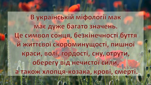 Червоний мак – це символ пам’яті смотреть онлайн