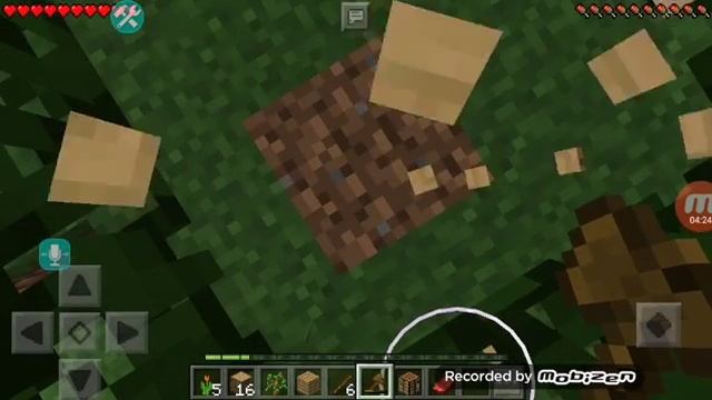 Выживание с админшой! Быстрый рост дерева! смотреть онлайн