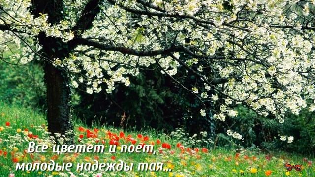 ВСТРЕЧАЕМ ДОЛГОЖДАННЫЙ МАЙ.mp4 смотреть онлайн