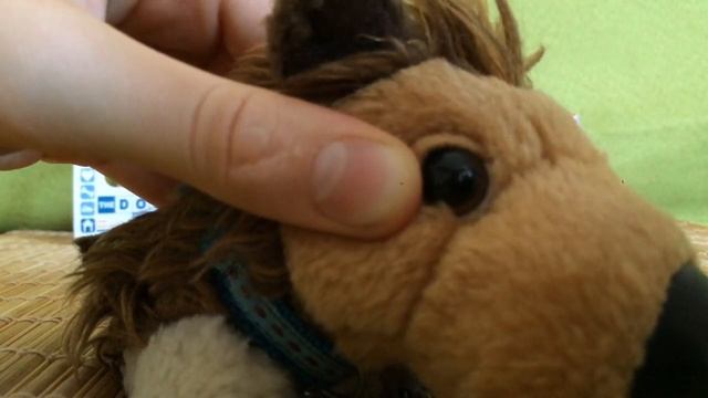 КАК РАСПОЗНАТЬ АМЕРИКАНСКОГО ДОГА?! смотреть онлайн