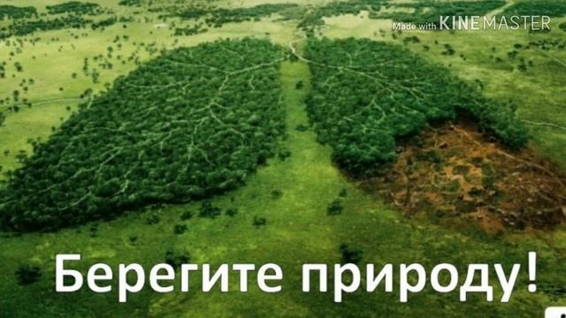 Берегите Природу!!! смотреть онлайн