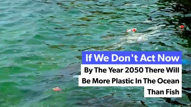 Save The Turtles - Reusable Straws Free смотреть онлайн