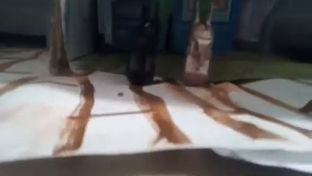 я люблю свою семью смотреть онлайн