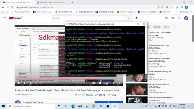 Android Studio SDK Java version 11 to 8 Accept Licenses (Windows 10) Environmental Variable смотреть онлайн