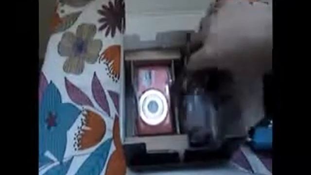 How I Got a Free Nikon S2500 -- Unboxing смотреть онлайн