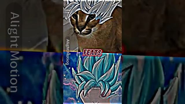 FLOPPA vs BINGUS (all forms) смотреть онлайн