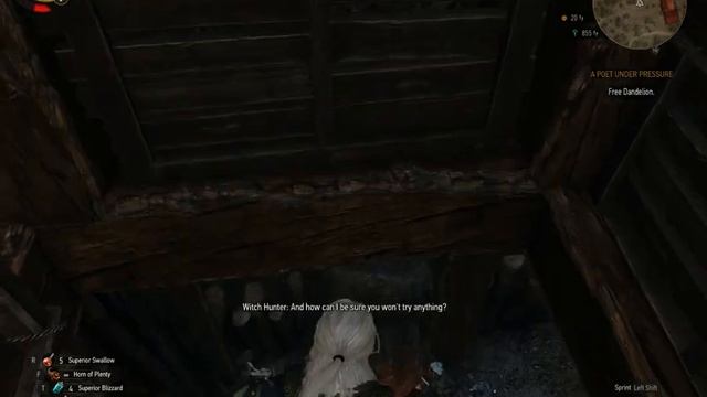 Witcher 3 speedrun tactic: Dandelion ladder skip смотреть онлайн