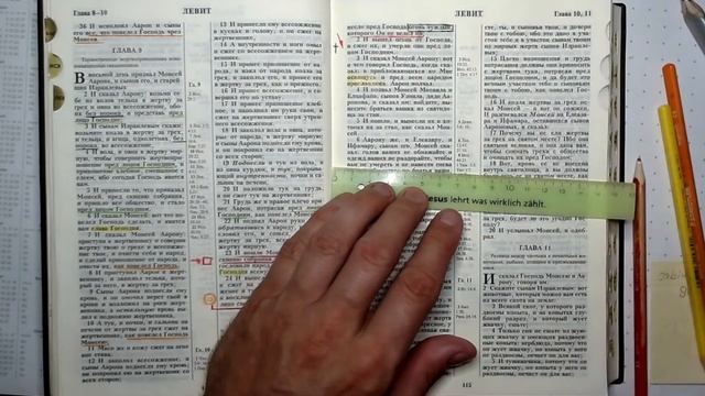 10 І Левит 10-я глава І Чуждый огонь Надава и Авиуда смотреть онлайн