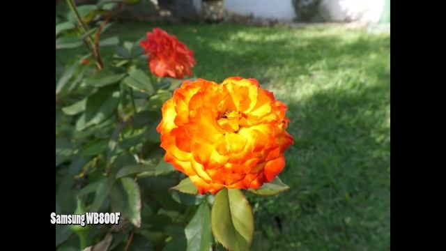 Samsung WB800F Photos Test смотреть онлайн