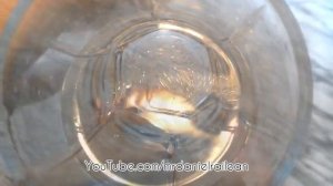 Как вырастить кристалл из повареной соли в домашних условиях  How to grow a cris