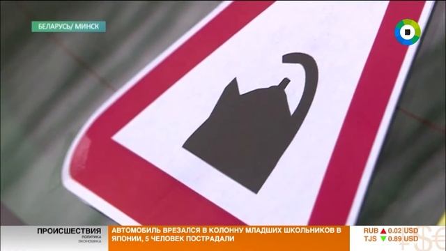 Почему нельзя вешать посторонние знаки на стекло авто. Эфир от 18.04.17 смотреть онлайн