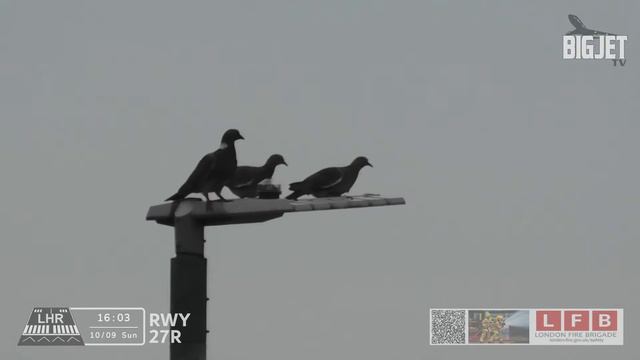 London Heathrow Departures and Arivals смотреть онлайн