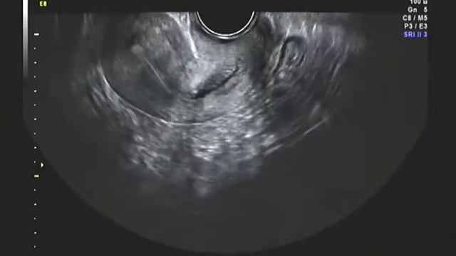 Ц05 смотреть онлайн