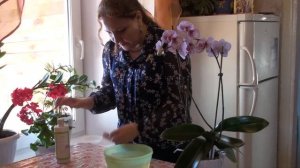 Как правильно поливать (купать орхидеи), чтобы они цвели круглый год. Долгих Анна