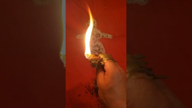 РАССОРКА НА ШЕРСТЬ КОШКИ И СОБАКИ смотреть онлайн